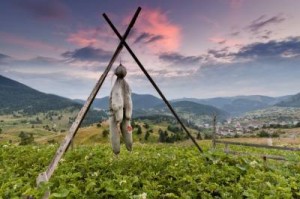 Scarecrow